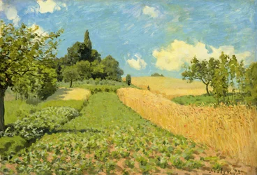 Il campo di grano (vicino ad Argenteuil)